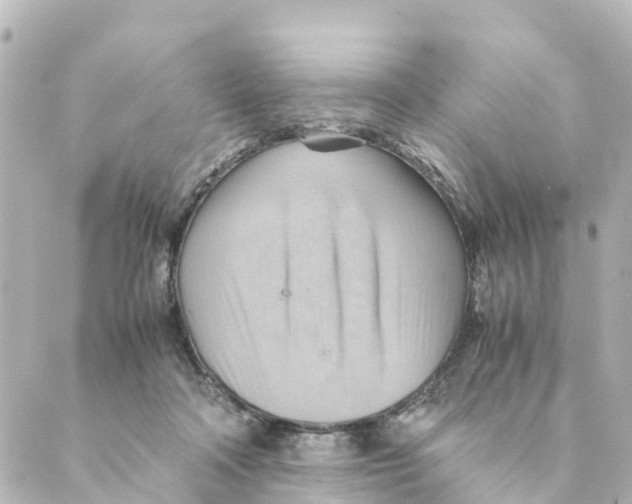 X0000088600314200706221412