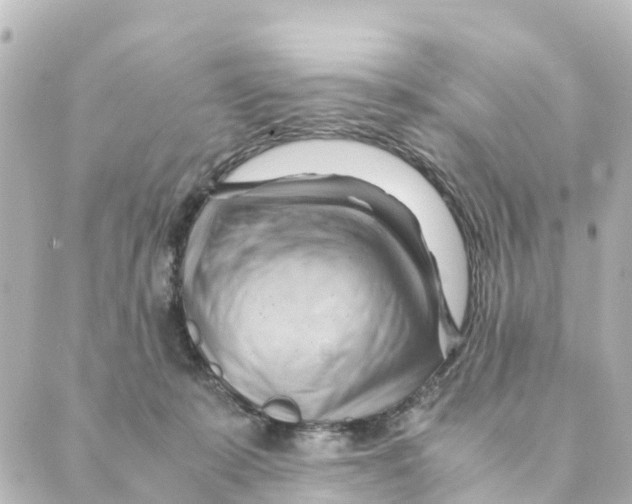 X0000088600319200706221412