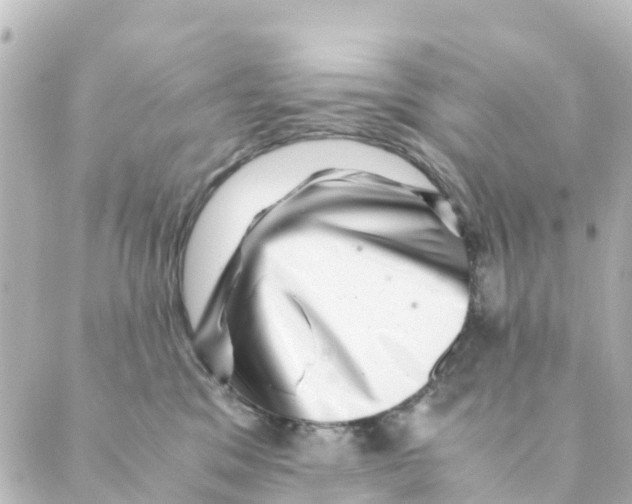 X0000088600329200706221412