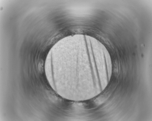 X0000088600332200706221412