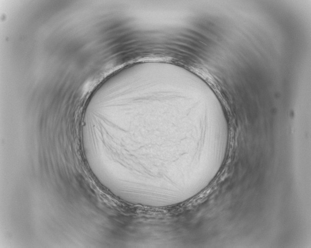 X0000088600337200706221411