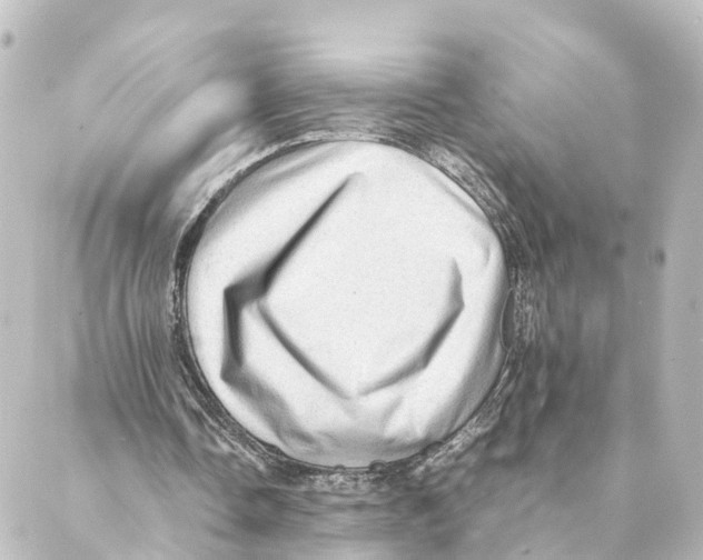 X0000088600338200706221411