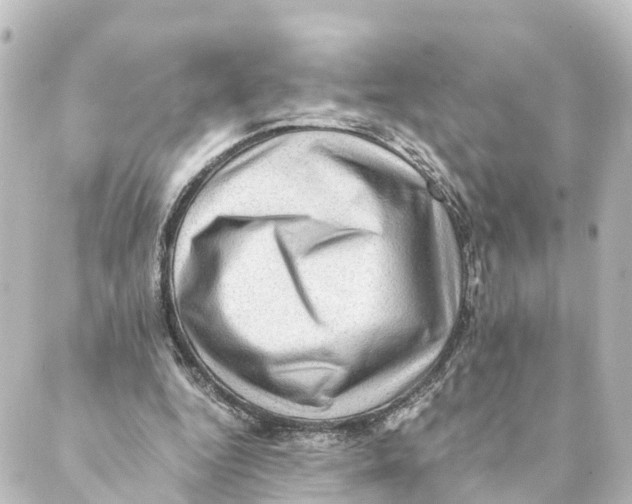 X0000088600344200706221411