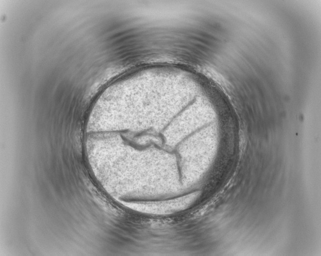 X0000088600345200706221411