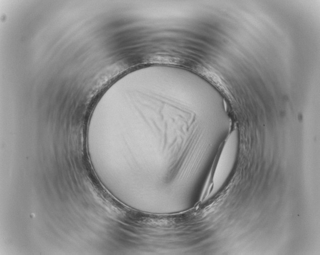 X0000088600349200706221411