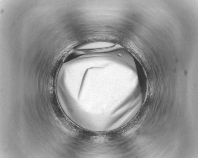 X0000088600356200706221411