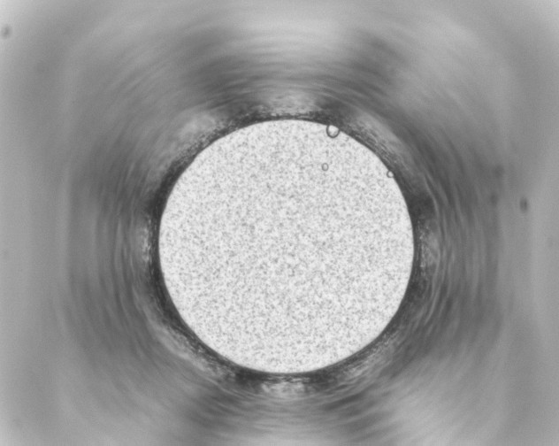 X0000088600362200706221411