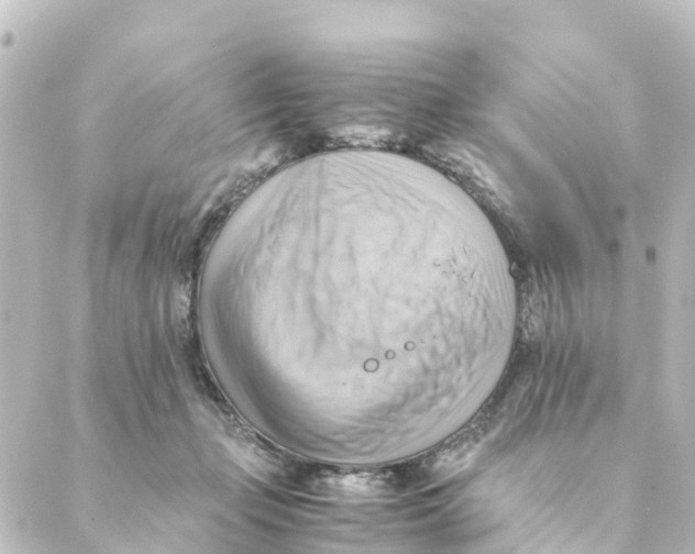 X0000088600365200706221411