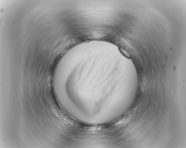 X0000088600366200706221411