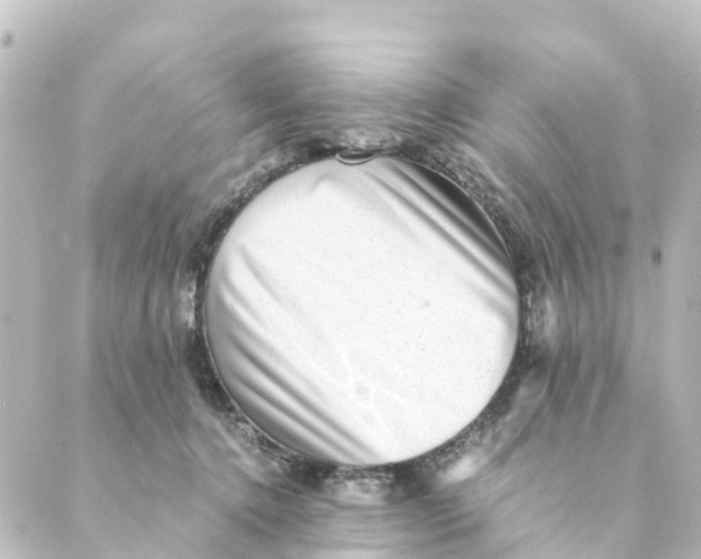 X0000088600368200706221412