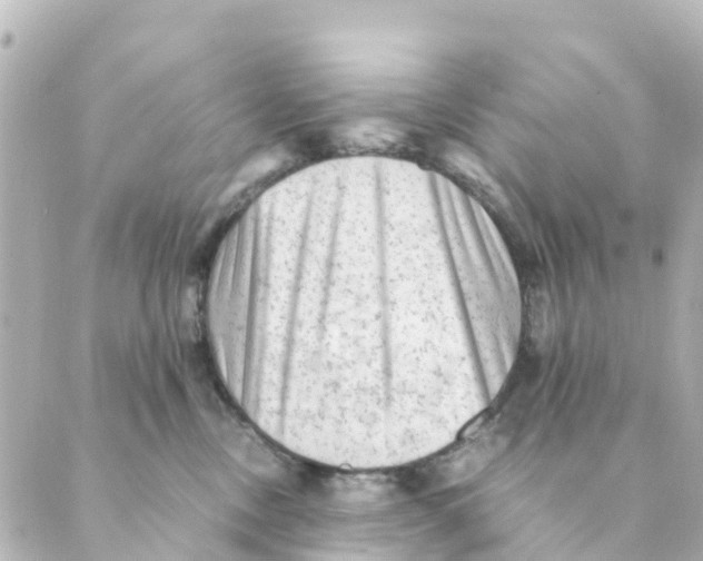 X0000088600378200706221412