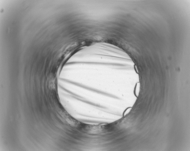 X0000088600384200706221412