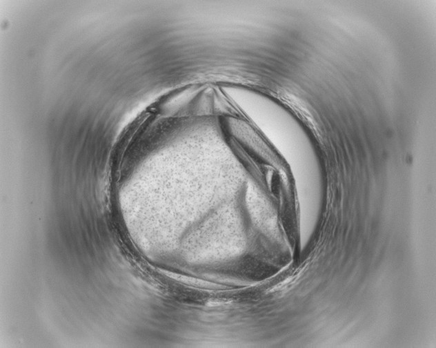 X0000088600388200706221411