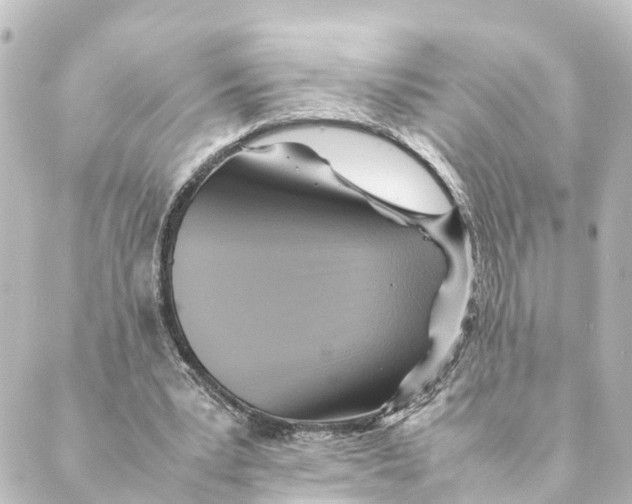 X0000088600391200706221411