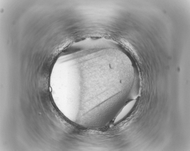X0000088600393200706221411