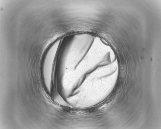 X0000088600395200706221411