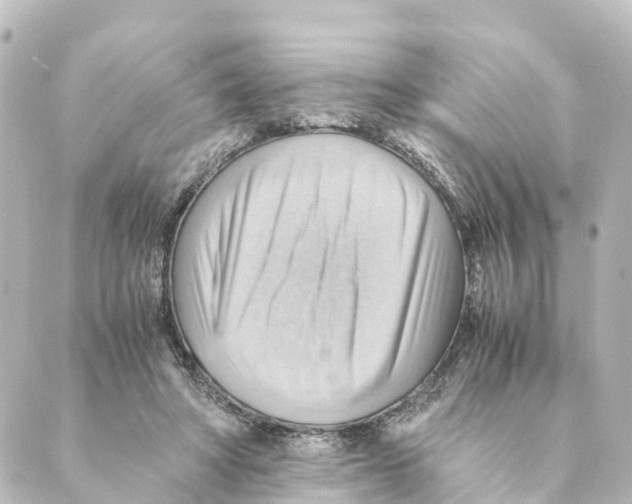 X0000088600402200706221411