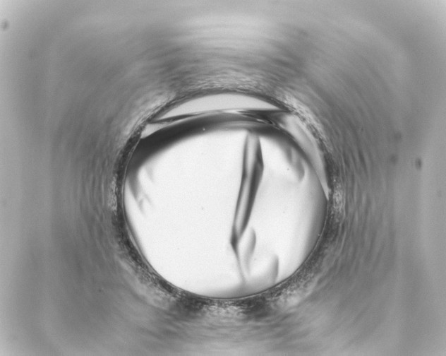 X0000088600403200706221411