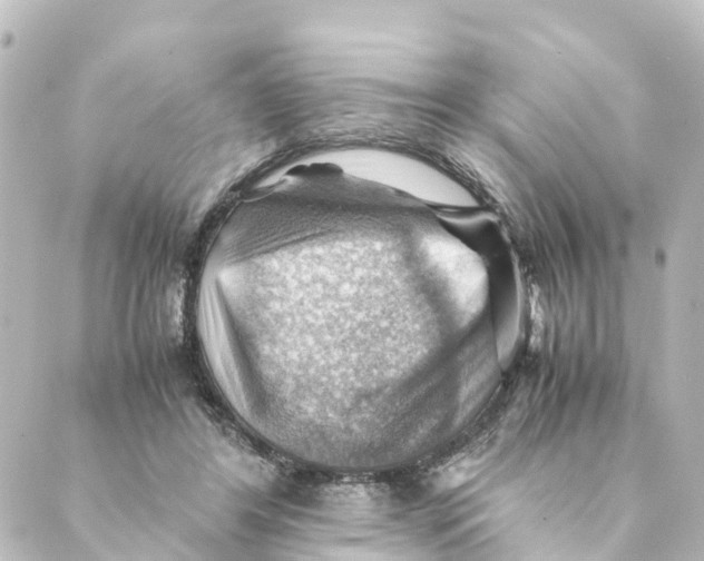 X0000088600404200706221411