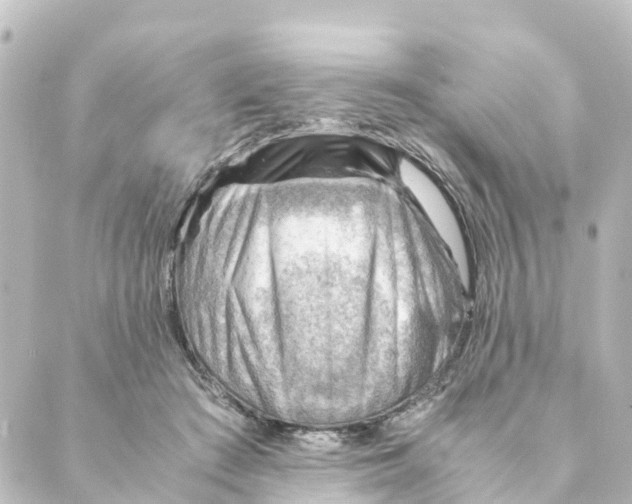 X0000088600409200706221411