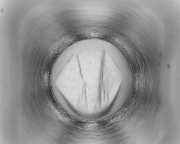 X0000088600410200706221411