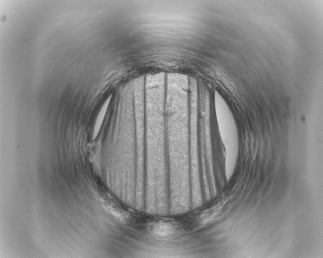 X0000088600412200706221411