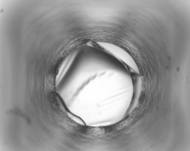 X0000088600421200706221410