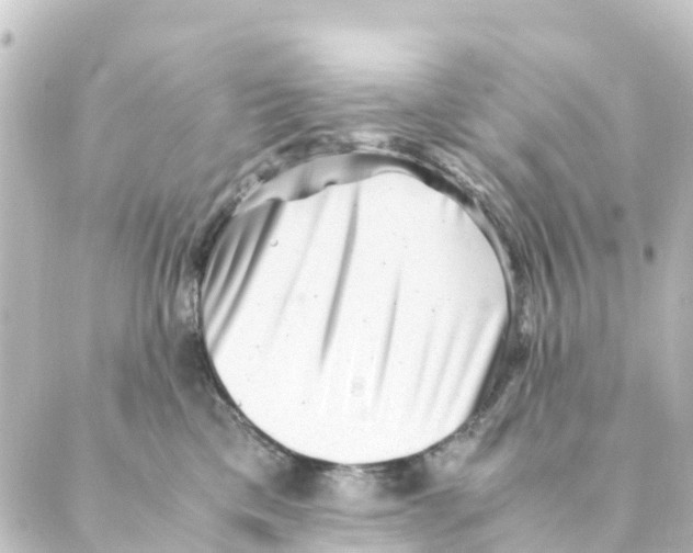 X0000088600425200706221410