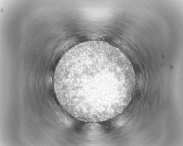 X0000088600427200706221410