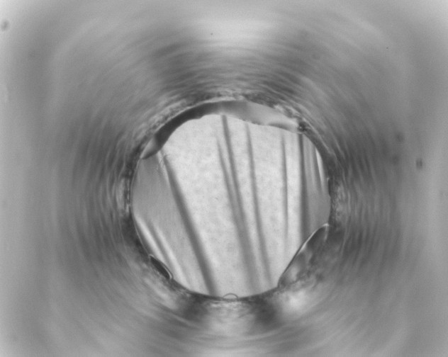 X0000088600428200706221410