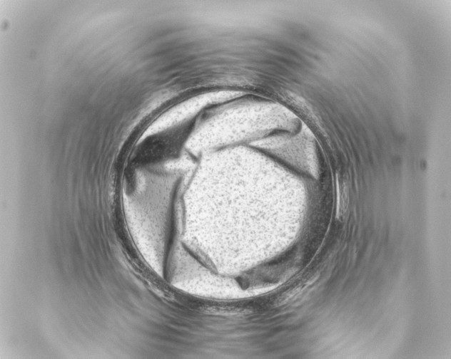 X0000088600435200706221409