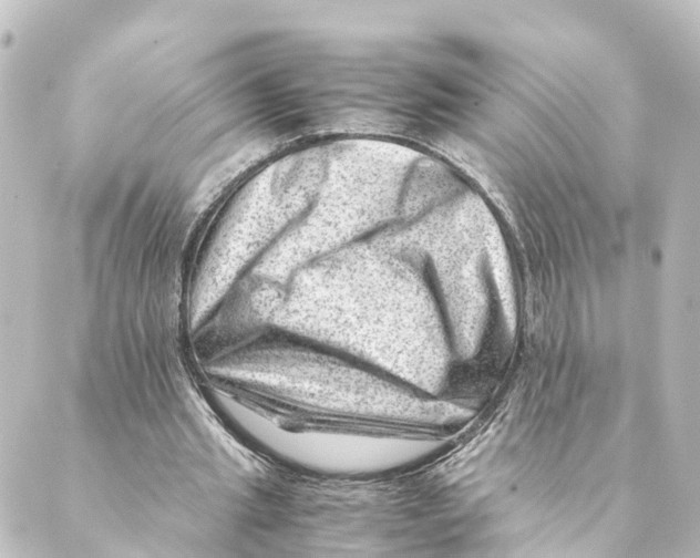 X0000088600437200706221410