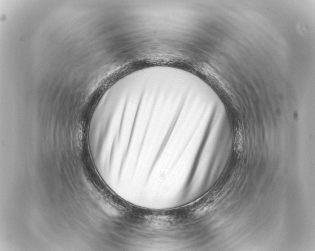 X0000088600448200706221410