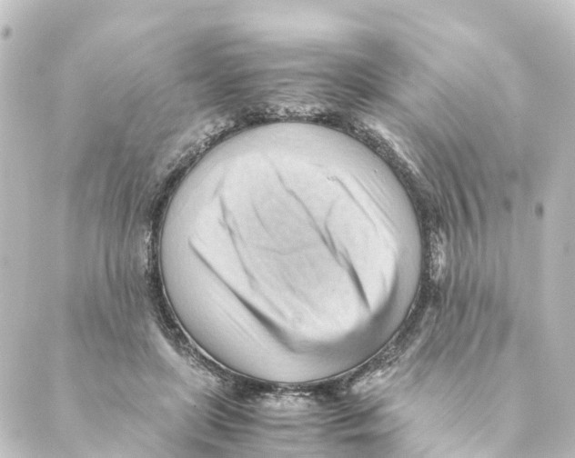 X0000088600451200706221410