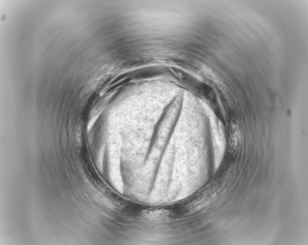 X0000088600452200706221410