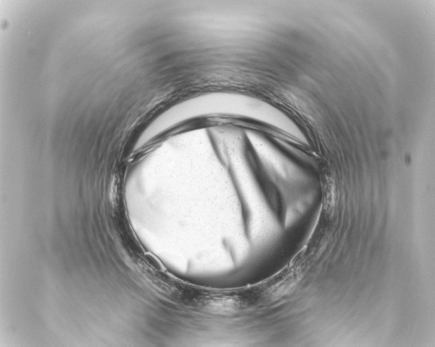 X0000088600456200706221410