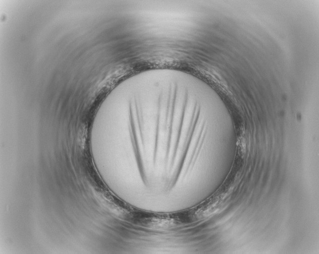 X0000088600458200706221410