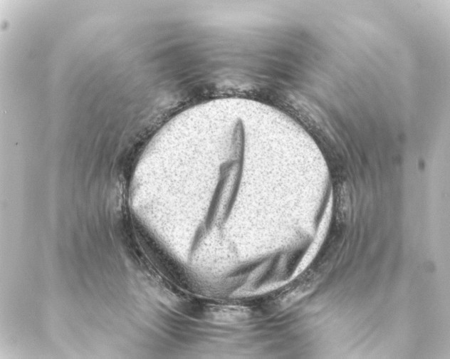 X0000088600463200706221410