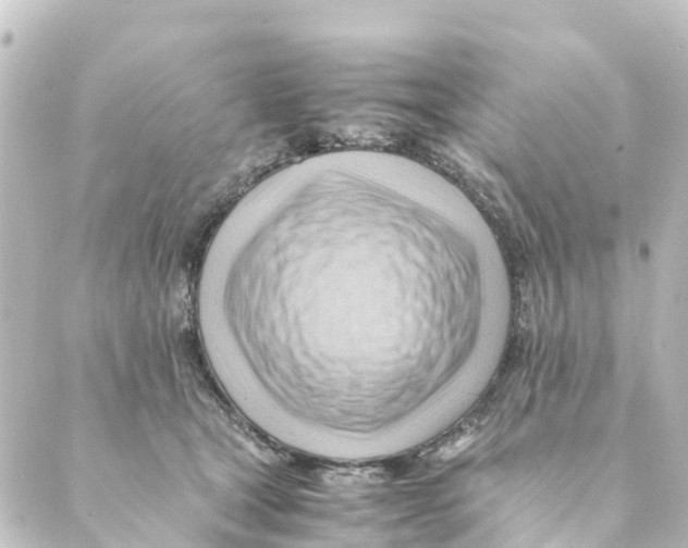 X0000088600465200706221410