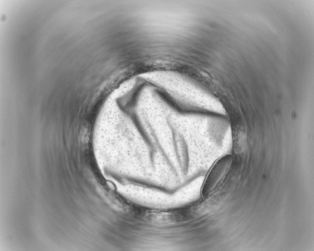 X0000088600472200706221410