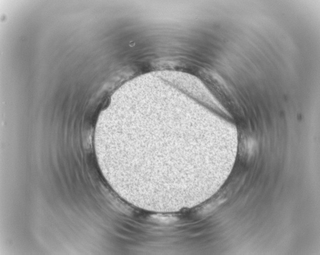 X0000088600477200706221410