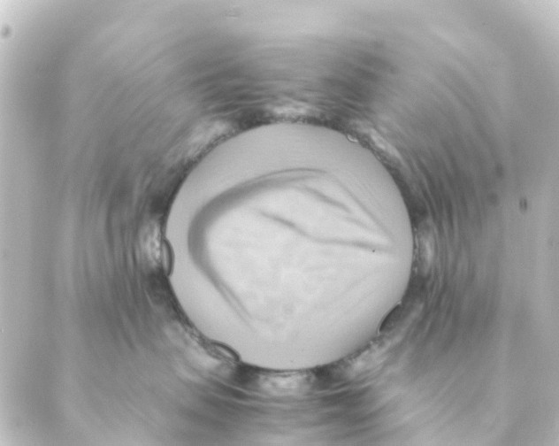 X0000088600479200706221410