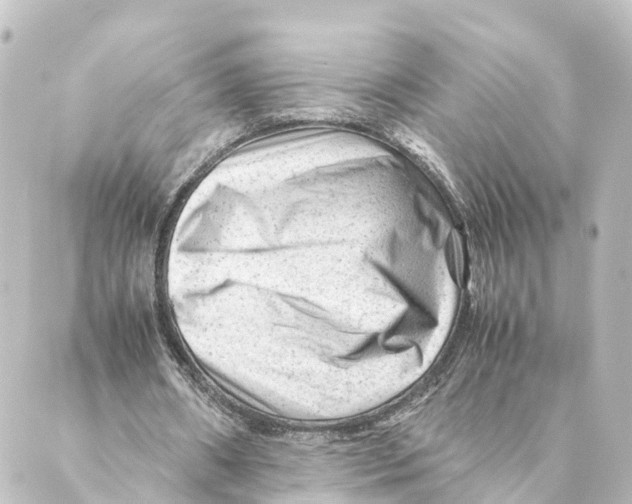 X0000088600482200706221409