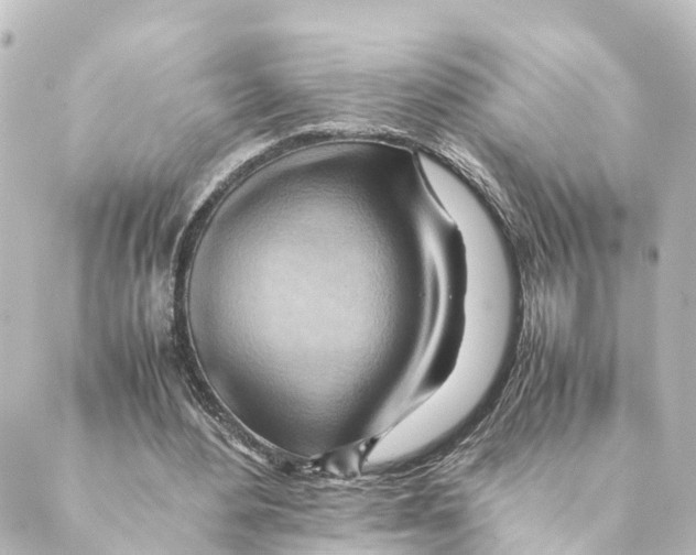 X0000088600484200706221409