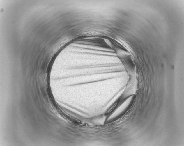 X0000088600485200706221409