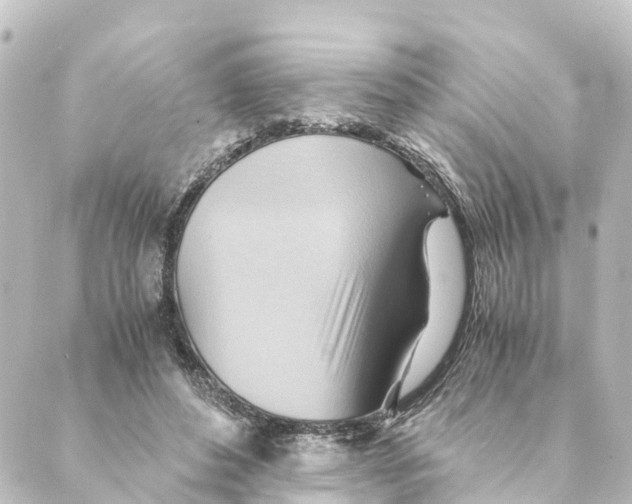 X0000088600496200706221409