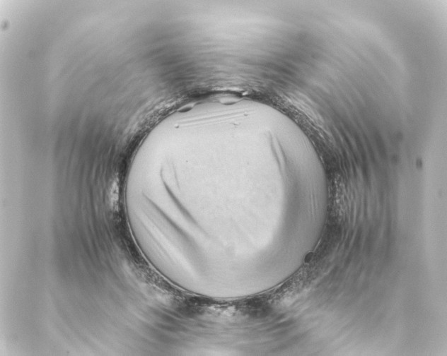 X0000088600502200706221409