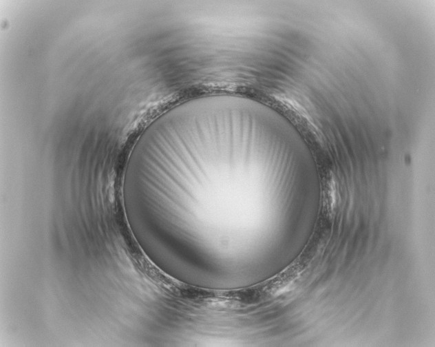 X0000088600504200706221409