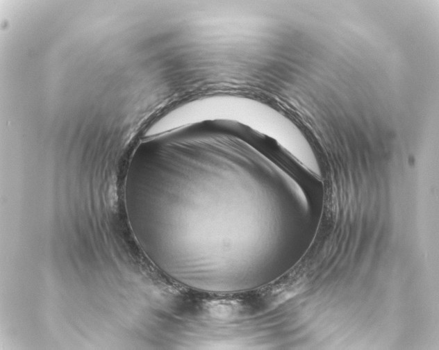 X0000088600508200706221409