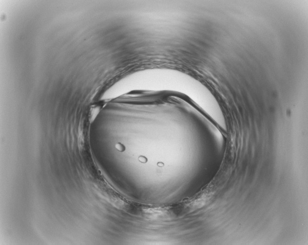 X0000088600516200706221409